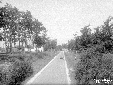 Strada Litoranea presso Capo D'Omo