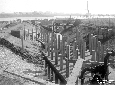 Peschiera di Sabaudia, lavori in corso