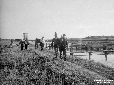 Lago di Fogliano, lavorieri presso la torre, trasp ...