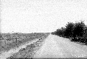 Strada da Tre Cancelli alle Grugnole