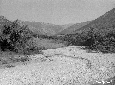 Rio Abbadia, apporto di ghiaia nel Collettore Acqu ...