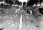 Canale Linea Morto: rivestimento delle sponde dall ...