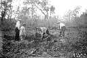 Attraversamento della selva di Terracina con la st ...