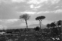 Il Circeo visto da Terracina alta