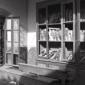 Libreria in una casa colpita dai bombardamenti