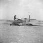 Spitfire abbattuto