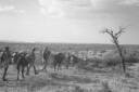 Una colonna delle truppe coloniali italiane avanza ...