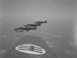 Quattro bombardieri Siai-Marchetti S-79  ...